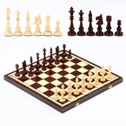 Шахматы польские Madon "Клубные", 46.5 х 46.5 см, король h-9.5 см, пешка h-5.5 см - фото 318326097