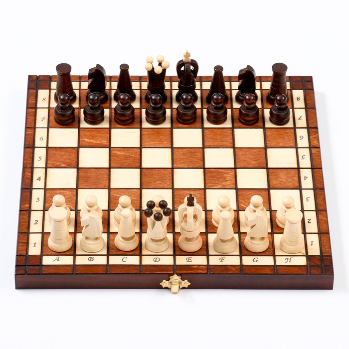 Шахматы польские Madon "Королевские", 31 х 31 см, король h=6.5 см, пешка h-3 см - фото 1907103549