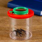 Набор для исследования «Юный натуралист»: стакан, лупа 2х, МИКС - Фото 1