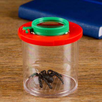 Набор для исследования «Юный натуралист»: стакан, лупа 2х, МИКС