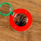 Набор для исследования «Юный натуралист»: стакан, лупа 2х, МИКС - Фото 2