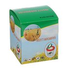 Набор для исследования «Юный натуралист»: стакан, лупа 2х, МИКС - Фото 3