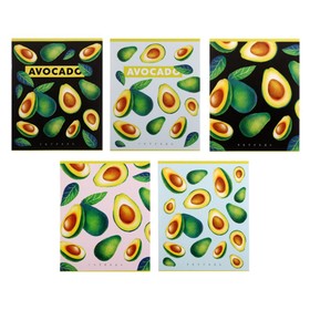 Тетрадь 48 листов в клетку "Авокадо", обложка мелованный картон, блок офсет, МИКС