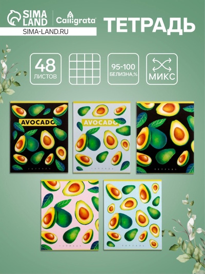 Тетрадь 48 листов в клетку, Calligrata «Авокадо», белые листы, МИКС