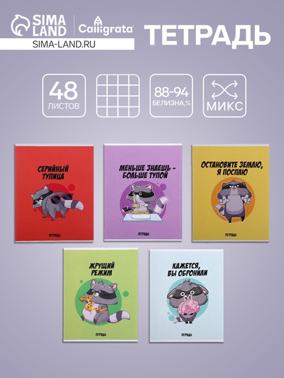 Тетрадь 48 листов в клетку, Calligrata «Дерзкий енот», МИКС