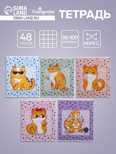 Тетрадь 48 листов в клетку, Calligrata «Коты», МИКС