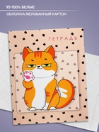 Тетрадь 48 листов в клетку, Calligrata «Коты», МИКС - Фото 2