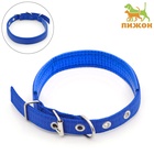 Ошейник "Комфорт" комбинированный (полиэстер, искусств. кожа), 45 х 2 см, ОШ 30-39 см, синий - Фото 2