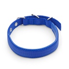 Ошейник "Комфорт" комбинированный (полиэстер, искусств. кожа), 45 х 2 см, ОШ 30-39 см, синий - Фото 3