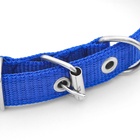 Ошейник "Комфорт" комбинированный (полиэстер, искусств. кожа), 45 х 2 см, ОШ 30-39 см, синий - Фото 4