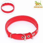 Ошейник "Комфорт" комбинированный, 45 х 2 см, ОШ 30-39 см, красный - Фото 2