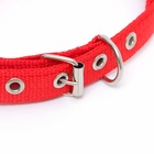 Ошейник "Комфорт" комбинированный, 45 х 2 см, ОШ 30-39 см, красный - Фото 4