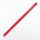 Ошейник "Комфорт" комбинированный, 45 х 2 см, ОШ 30-39 см, красный - Фото 7