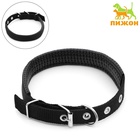 Ошейник «Комфорт» комбинированный, 45×2 см, ОШ 33-39 см, чёрный - Фото 2