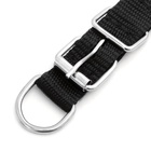 Ошейник «Комфорт» комбинированный, 45×2 см, ОШ 33-39 см, чёрный - Фото 6