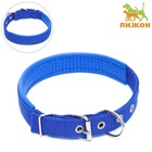 Ошейник «Комфорт» комбинированный (полиэстер, искусственная кожа), 55×2.5 см, ОШ 40-50 см, синий 6 - Фото 2