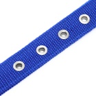 Ошейник «Комфорт» комбинированный (полиэстер, искусственная кожа), 55×2.5 см, ОШ 40-50 см, синий 6 - Фото 6
