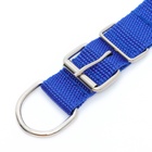 Ошейник «Комфорт» комбинированный (полиэстер, искусственная кожа), 55×2.5 см, ОШ 40-50 см, синий 6 - Фото 8