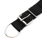 Ошейник «Комфорт» комбинированный, 55×2.5 см, ОШ 40-50 см, чёрный - Фото 8