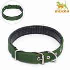 Ошейник «Комфорт» комбинированный (полиэстер, искусственная кожа), 55×2.5 см, ОШ 40-50 см, зелёный - Фото 2