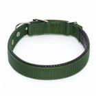 Ошейник «Комфорт» комбинированный (полиэстер, искусственная кожа), 55×2.5 см, ОШ 40-50 см, зелёный - Фото 3