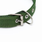 Ошейник «Комфорт» комбинированный (полиэстер, искусственная кожа), 55×2.5 см, ОШ 40-50 см, зелёный - Фото 4