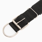 Ошейник «Комфорт» комбинированный, 60×4 см, ОШ 45-55 см, чёрный - Фото 7