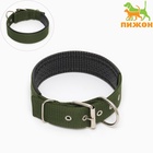 Ошейник «Комфорт» комбинированный (полиэстер, искусственная кожа), 60×4 см, ОШ 44-54 см, зелёный - Фото 2