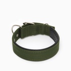 Ошейник «Комфорт» комбинированный (полиэстер, искусственная кожа), 60×4 см, ОШ 44-54 см, зелёный - Фото 3