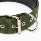 Ошейник «Комфорт» комбинированный (полиэстер, искусственная кожа), 60×4 см, ОШ 44-54 см, зелёный - Фото 4