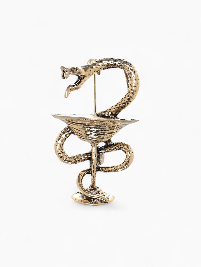 Брошь «Змея в геральдике», медицина, цвет чернёное золото - Фото 1