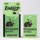 Ароматизатор в авто Orgasm, аромат: мужской парфюм - фото 9812186