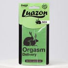 Ароматизатор в авто Orgasm, аромат: мужской парфюм - фото 9812188