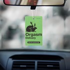Ароматизатор в авто Orgasm, аромат: мужской парфюм - Фото 4