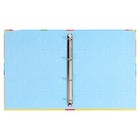 Папка школьная на кольцах «Портфолио дошкольника», без разделителей, 24.5×32 см - Фото 3