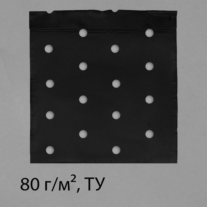 Материал мульчирующий, с перфорацией, 10 × 1,6 м, плотность 80 г/м², УФ-стабилизатором, чёрный, Greengo, Эконом 20%