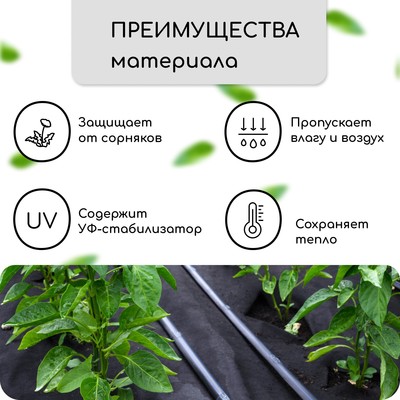 Материал мульчирующий, с перфорацией, 10 × 1,6 м, плотность 80 г/м², спанбонд с УФ-стабилизатором, чёрный, Greengo, Эконом 30%