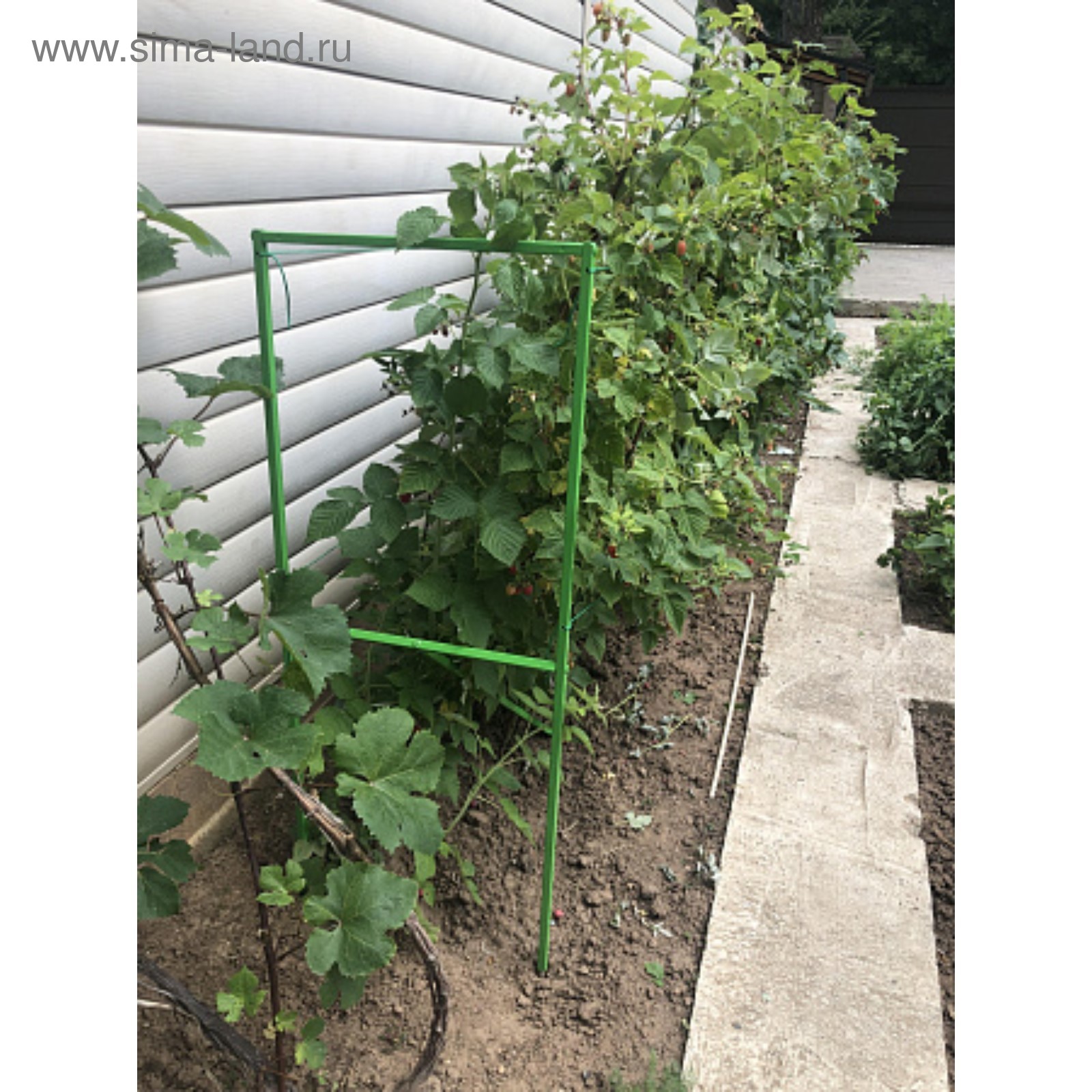 Подпорки для малины своими руками фото Подпорки для малины своими руками фото