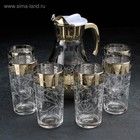 Набор питьевой «Флора», 7 предметов: кувшин 1 л, стакан 230 мл, с гравировкой и напылением, 6 шт, микс - фото 5990368