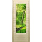 Дверь для бани со стеклом (43*129), "Лес", 170×70см, коробка из осины - фото 299694813