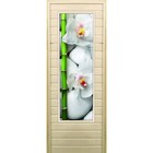Дверь для бани со стеклом (43*129), "Орхидеи и бамбук", 170×70см, коробка из осины - фото 294917222