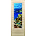 Дверь для бани со стеклом (43*129), "Морской мир", 170×70см, коробка из осины - фото 299694826