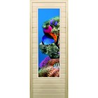 Дверь для бани со стеклом (43*129), "Кораллы-1", 170×70см, коробка из осины - фото 294917297