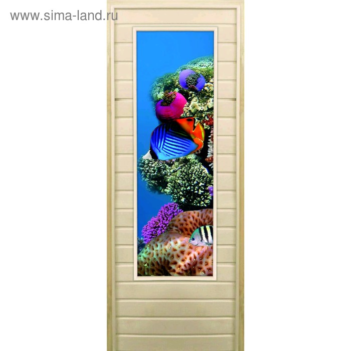 Дверь для бани со стеклом (43*129), "Кораллы-1", 180×70см, коробка из осины - Фото 1