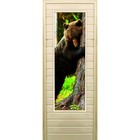 Дверь для бани со стеклом (43*129), "Медведь-4", 170×70см, коробка из осины - фото 299694857