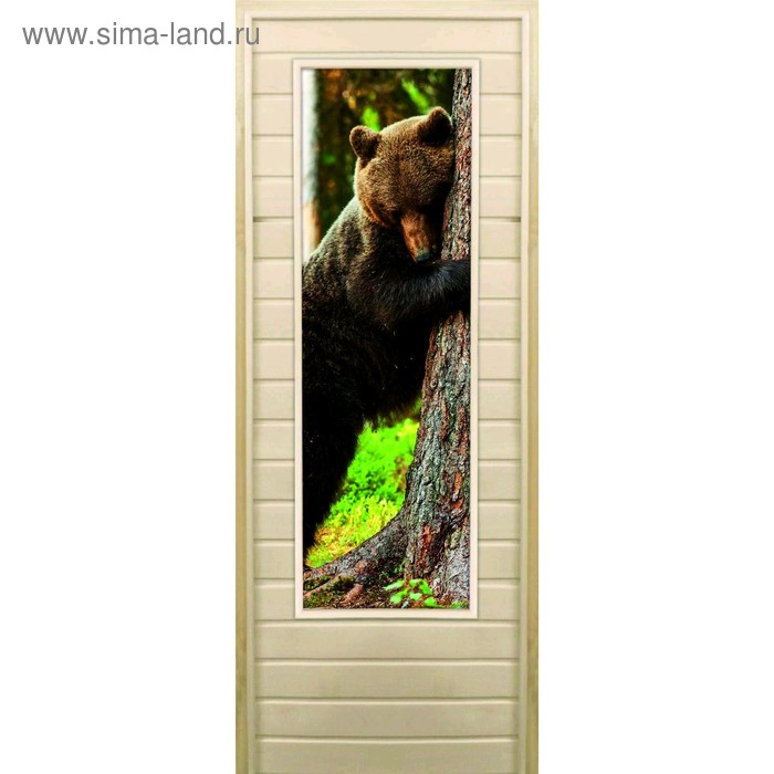 Дверь для бани со стеклом (43*129), "Медведь-4", 170×70см, коробка из осины - Фото 1