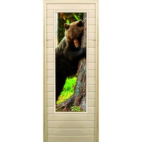 Дверь для бани со стеклом (43*129), "Медведь-4", 180×70см, коробка из осины