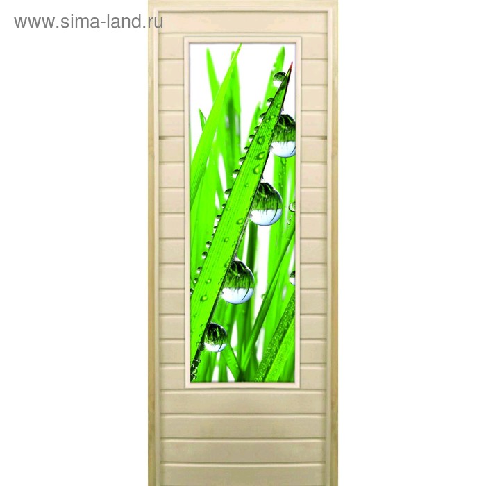 Дверь для бани со стеклом (43*129), "Капли", 170×70см, коробка из осины - Фото 1
