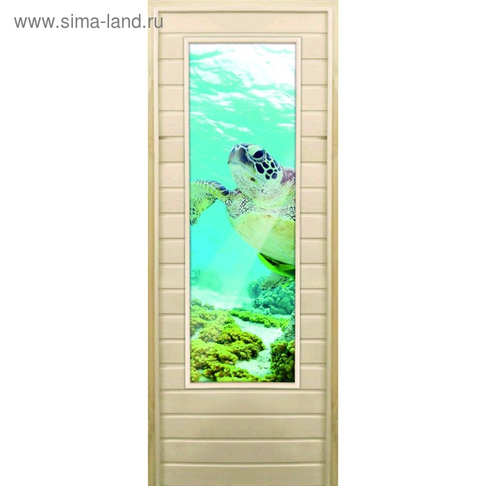 Дверь для бани со стеклом (43*129), "Черепаха-1", 170×70см, коробка из осины - Фото 1