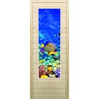 Дверь для бани со стеклом (43*129), "Кораллы-3", 170×70см, коробка из осины - фото 2068102